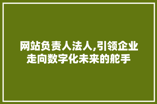 网站负责人法人,引领企业走向数字化未来的舵手