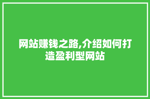 网站赚钱之路,介绍如何打造盈利型网站