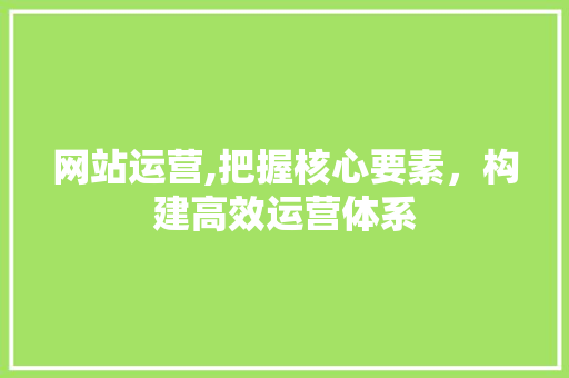网站运营,把握核心要素，构建高效运营体系