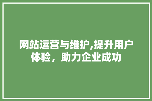 网站运营与维护,提升用户体验，助力企业成功