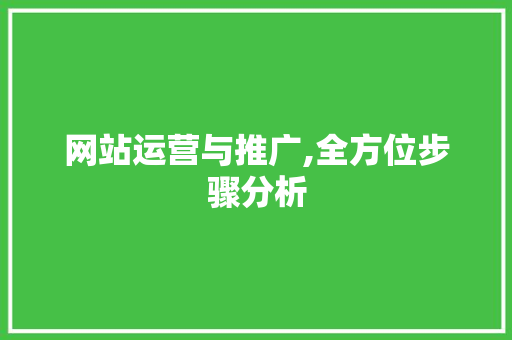 网站运营与推广,全方位步骤分析 网站运营与推广,全方位步骤分析 网站建设公司