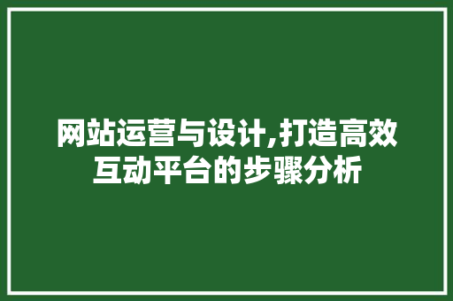 网站运营与设计,打造高效互动平台的步骤分析