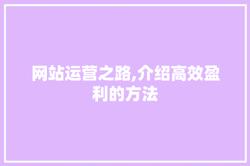网站运营之路,介绍高效盈利的方法 网站运营之路,介绍高效盈利的方法 网站建设公司