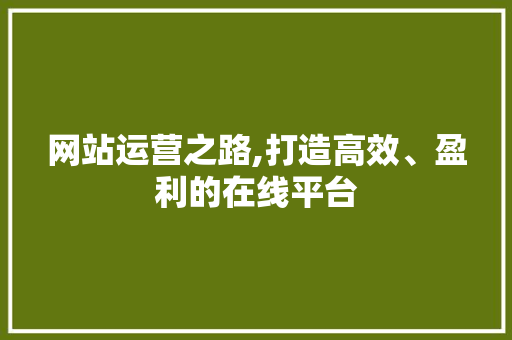 网站运营之路,打造高效、盈利的在线平台