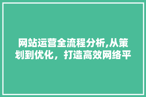 网站运营全流程分析,从策划到优化，打造高效网络平台