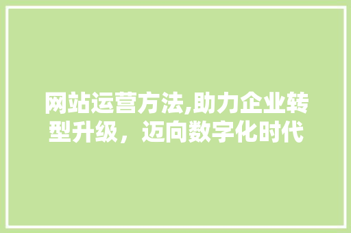 网站运营方法,助力企业转型升级，迈向数字化时代