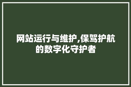 网站运行与维护,保驾护航的数字化守护者