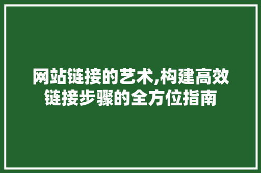 网站链接的艺术,构建高效链接步骤的全方位指南