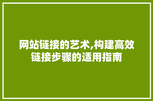 网站链接的艺术,构建高效链接步骤的适用指南