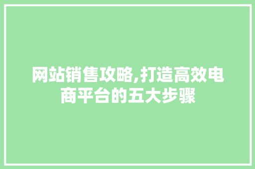 网站销售攻略,打造高效电商平台的五大步骤