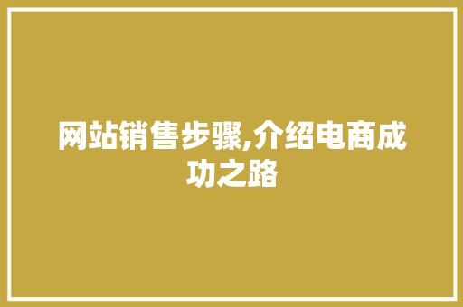 网站销售步骤,介绍电商成功之路