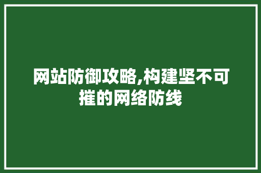 网站防御攻略,构建坚不可摧的网络防线