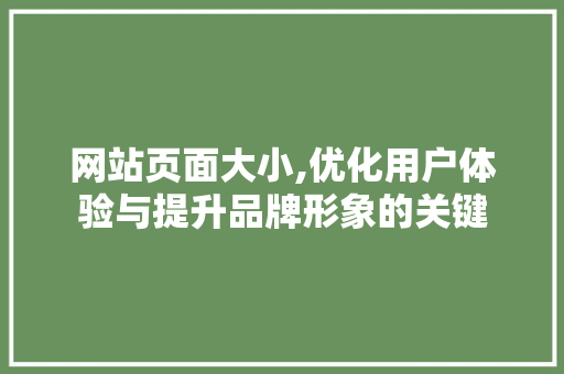 网站页面大小,优化用户体验与提升品牌形象的关键