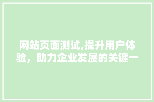 网站页面测试,提升用户体验，助力企业发展的关键一环