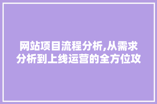 网站项目流程分析,从需求分析到上线运营的全方位攻略