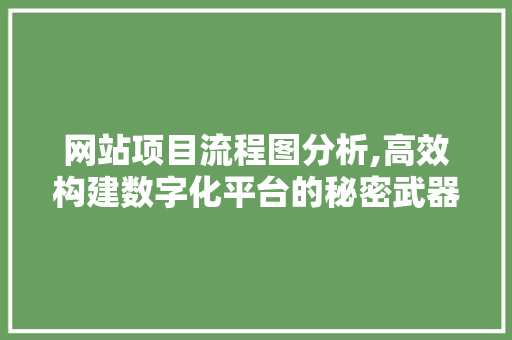 网站项目流程图分析,高效构建数字化平台的秘密武器