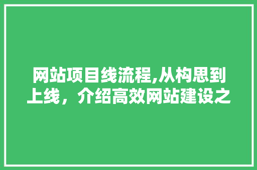 网站项目线流程,从构思到上线，介绍高效网站建设之路