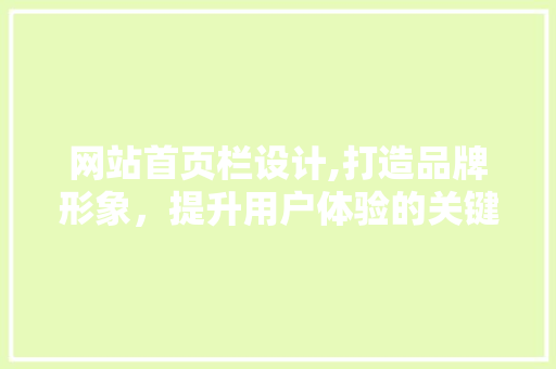 网站首页栏设计,打造品牌形象，提升用户体验的关键一步