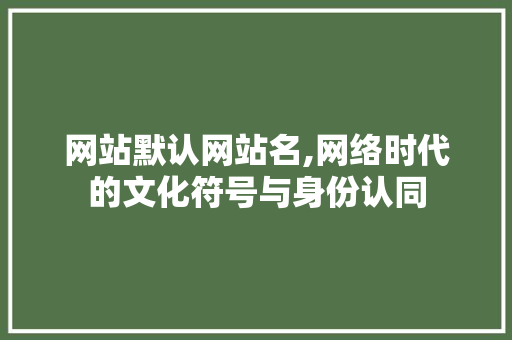 网站默认网站名,网络时代的文化符号与身份认同