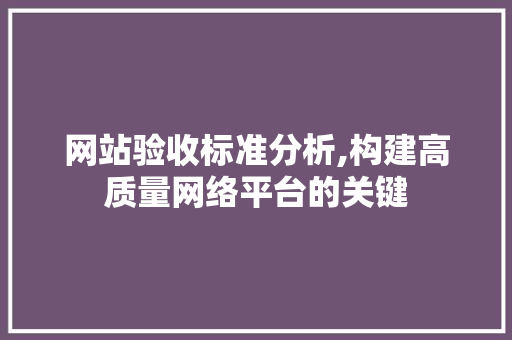 网站验收标准分析,构建高质量网络平台的关键