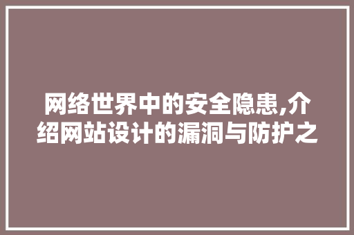 网络世界中的安全隐患,介绍网站设计的漏洞与防护之路
