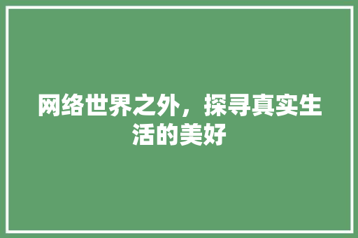 网络世界之外，探寻真实生活的美好