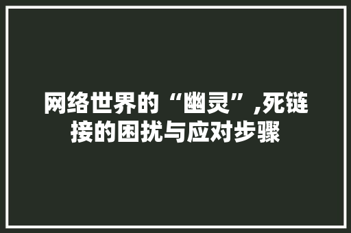 网络世界的“幽灵”,死链接的困扰与应对步骤