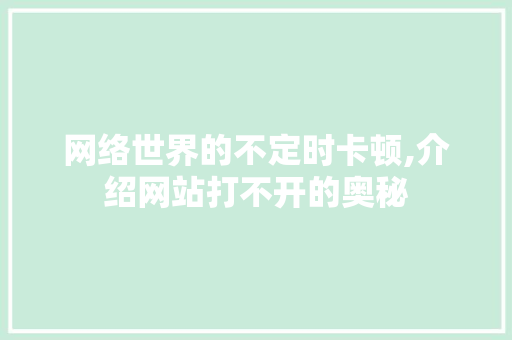 网络世界的不定时卡顿,介绍网站打不开的奥秘