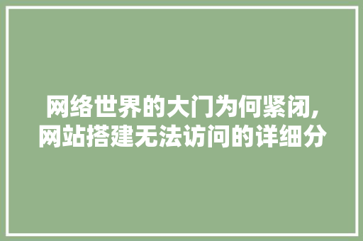 网络世界的大门为何紧闭,网站搭建无法访问的详细分析