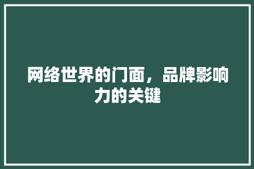 网络世界的门面，品牌影响力的关键