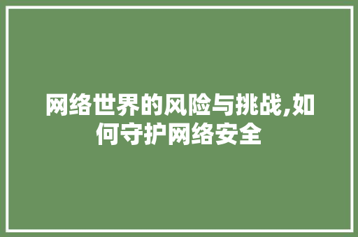 网络世界的风险与挑战,如何守护网络安全