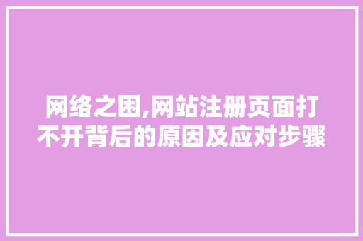 网络之困,网站注册页面打不开背后的原因及应对步骤