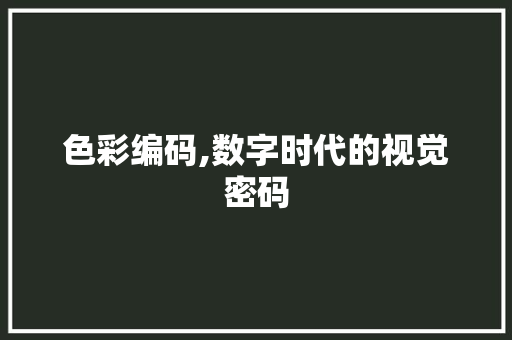 色彩编码,数字时代的视觉密码