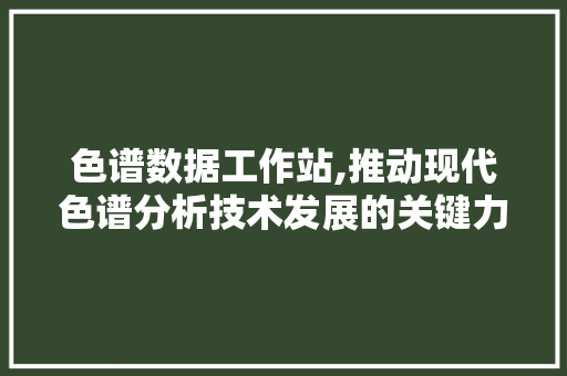 色谱数据工作站,推动现代色谱分析技术发展的关键力量
