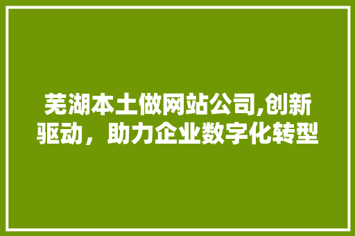 芜湖本土做网站公司,创新驱动，助力企业数字化转型 芜湖本土做网站公司,创新驱动，助力企业数字化转型 神马SEO