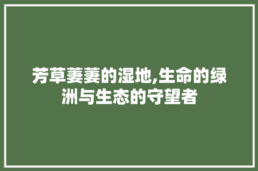 芳草萋萋的湿地,生命的绿洲与生态的守望者