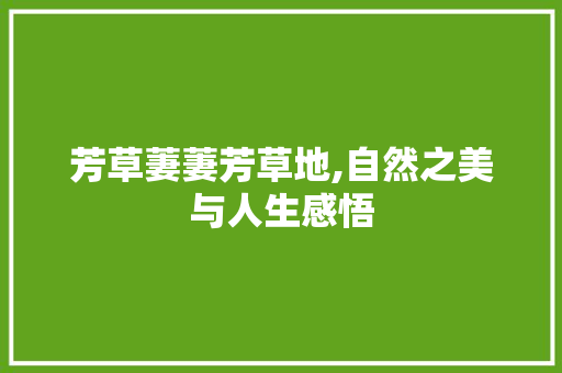 芳草萋萋芳草地,自然之美与人生感悟