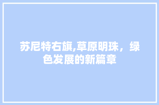 苏尼特右旗,草原明珠，绿色发展的新篇章