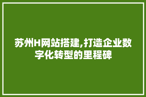 苏州H网站搭建,打造企业数字化转型的里程碑
