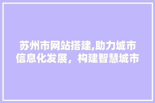 苏州市网站搭建,助力城市信息化发展，构建智慧城市新格局