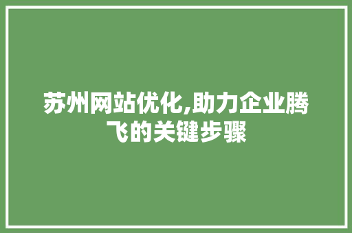 苏州网站优化,助力企业腾飞的关键步骤