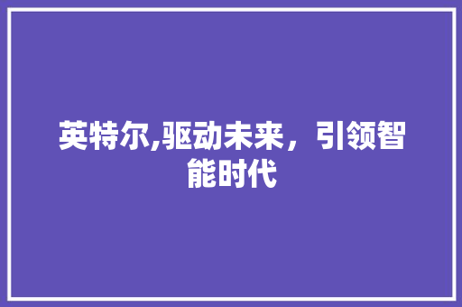 英特尔,驱动未来，引领智能时代