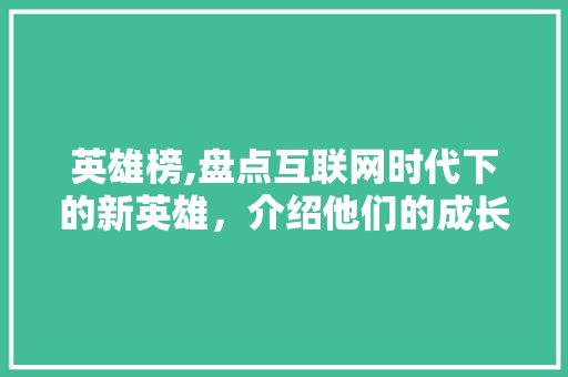 英雄榜,盘点互联网时代下的新英雄，介绍他们的成长轨迹与时代意义 英雄榜,盘点互联网时代下的新英雄，介绍他们的成长轨迹与时代意义 SEO关键词