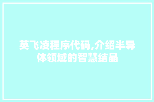 英飞凌程序代码,介绍半导体领域的智慧结晶