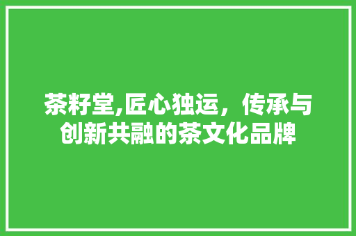 茶籽堂,匠心独运，传承与创新共融的茶文化品牌 茶籽堂,匠心独运，传承与创新共融的茶文化品牌 SEO关键词