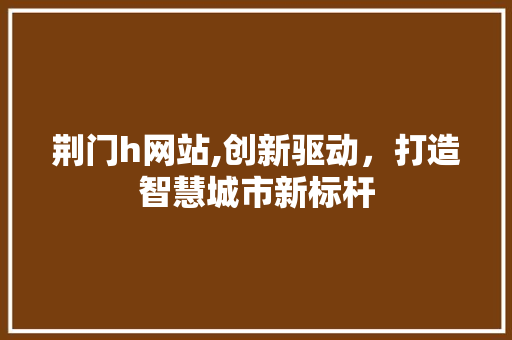 荆门h网站,创新驱动，打造智慧城市新标杆
