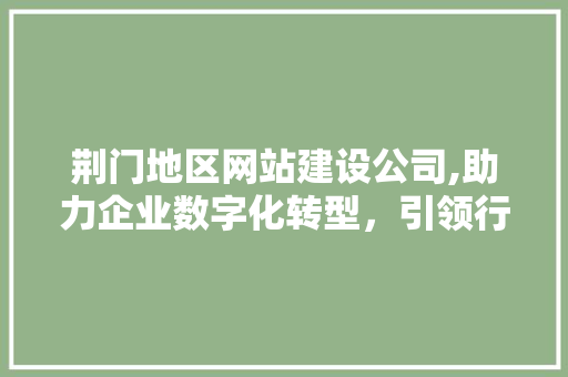 荆门地区网站建设公司,助力企业数字化转型，引领行业发展新潮流
