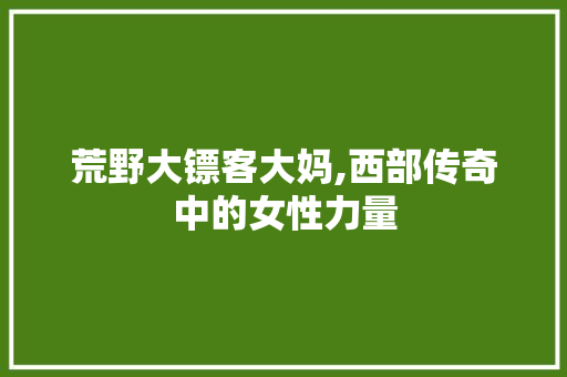 荒野大镖客大妈,西部传奇中的女性力量
