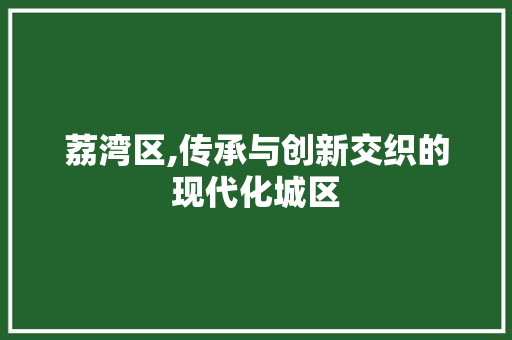 荔湾区,传承与创新交织的现代化城区