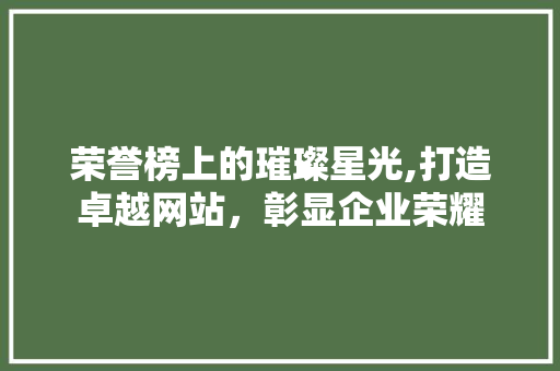 荣誉榜上的璀璨星光,打造卓越网站，彰显企业荣耀